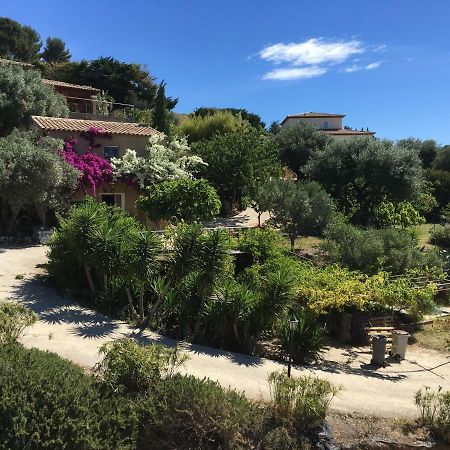 Les Terrasses Sur Mer Ollioules Exteriér fotografie