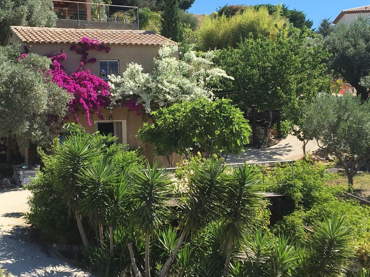 Les Terrasses Sur Mer Ollioules Exteriér fotografie