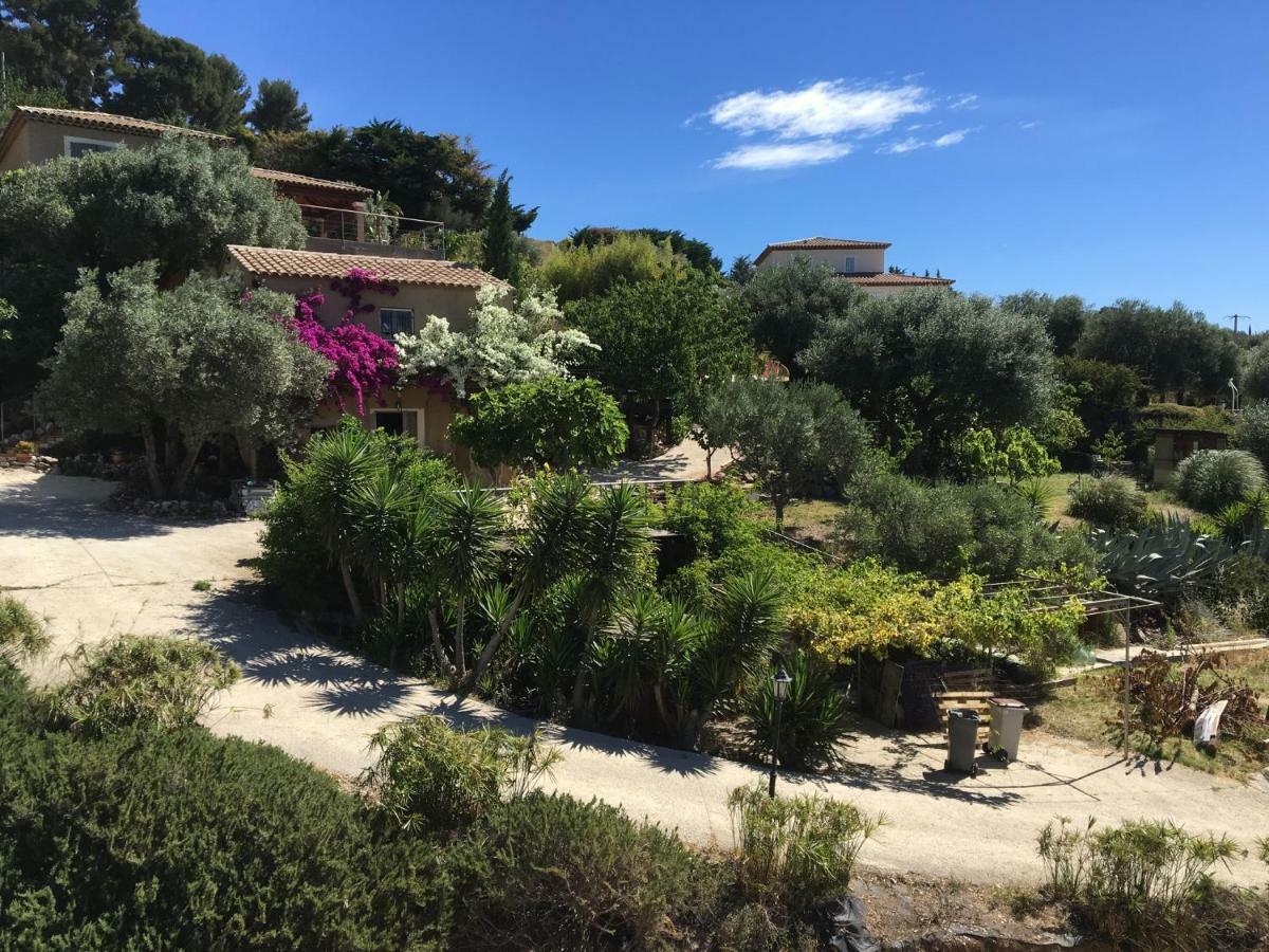 Les Terrasses Sur Mer Ollioules Exteriér fotografie